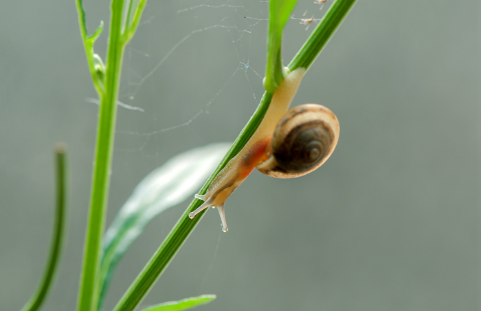 DSC_1342_副本.jpg
