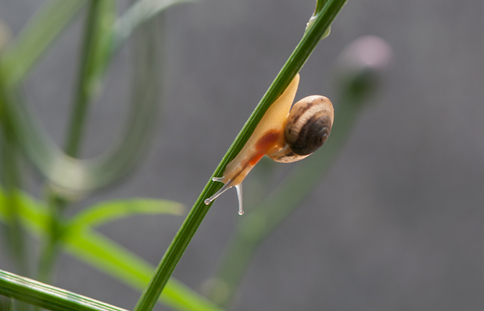 DSC_1365_副本.jpg