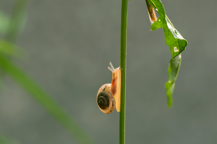 DSC_1404_副本.jpg