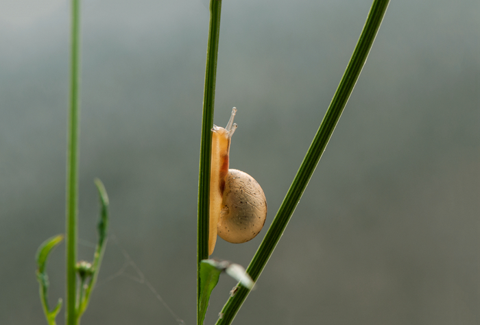 DSC_1451_副本.jpg