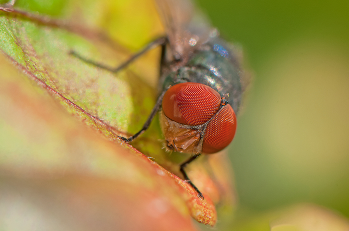DSC_4998_副本.jpg