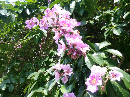 IMG_20170605_095729_副本.jpg