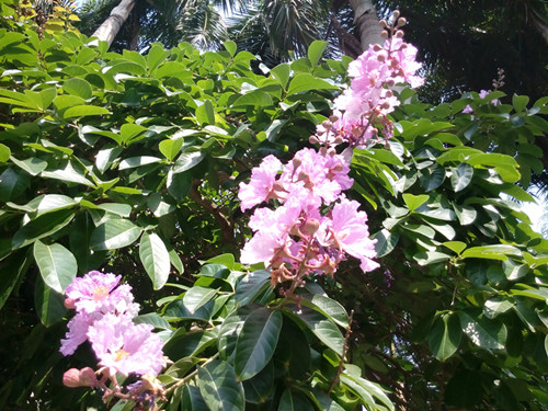 IMG_20170605_095737_副本.jpg