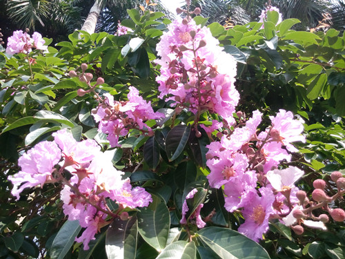 IMG_20170605_095758_副本.jpg