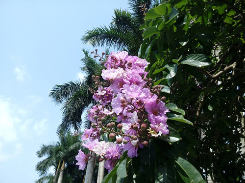 IMG_20170605_095751_副本.jpg