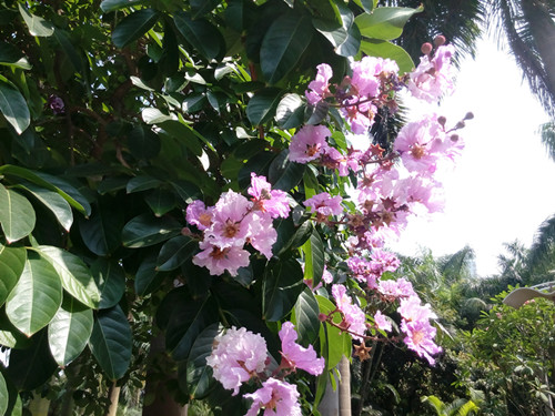 IMG_20170605_095908_副本.jpg