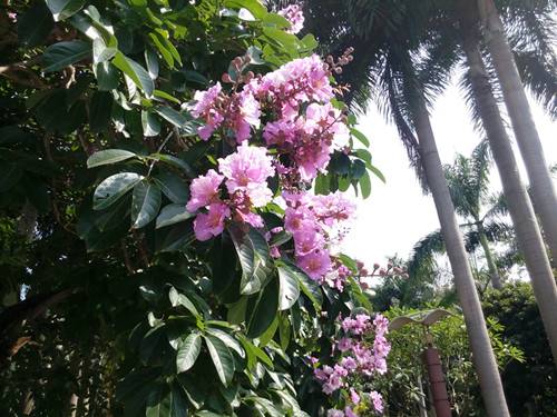 IMG_20170605_095903_副本.jpg