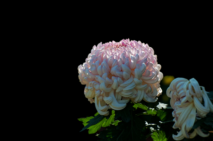 DSC_6211_副本.jpg