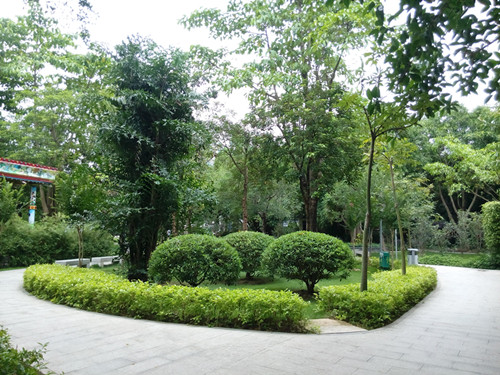 IMG_20170615_105323_副本.jpg