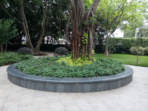 IMG_20170615_104638_副本.jpg