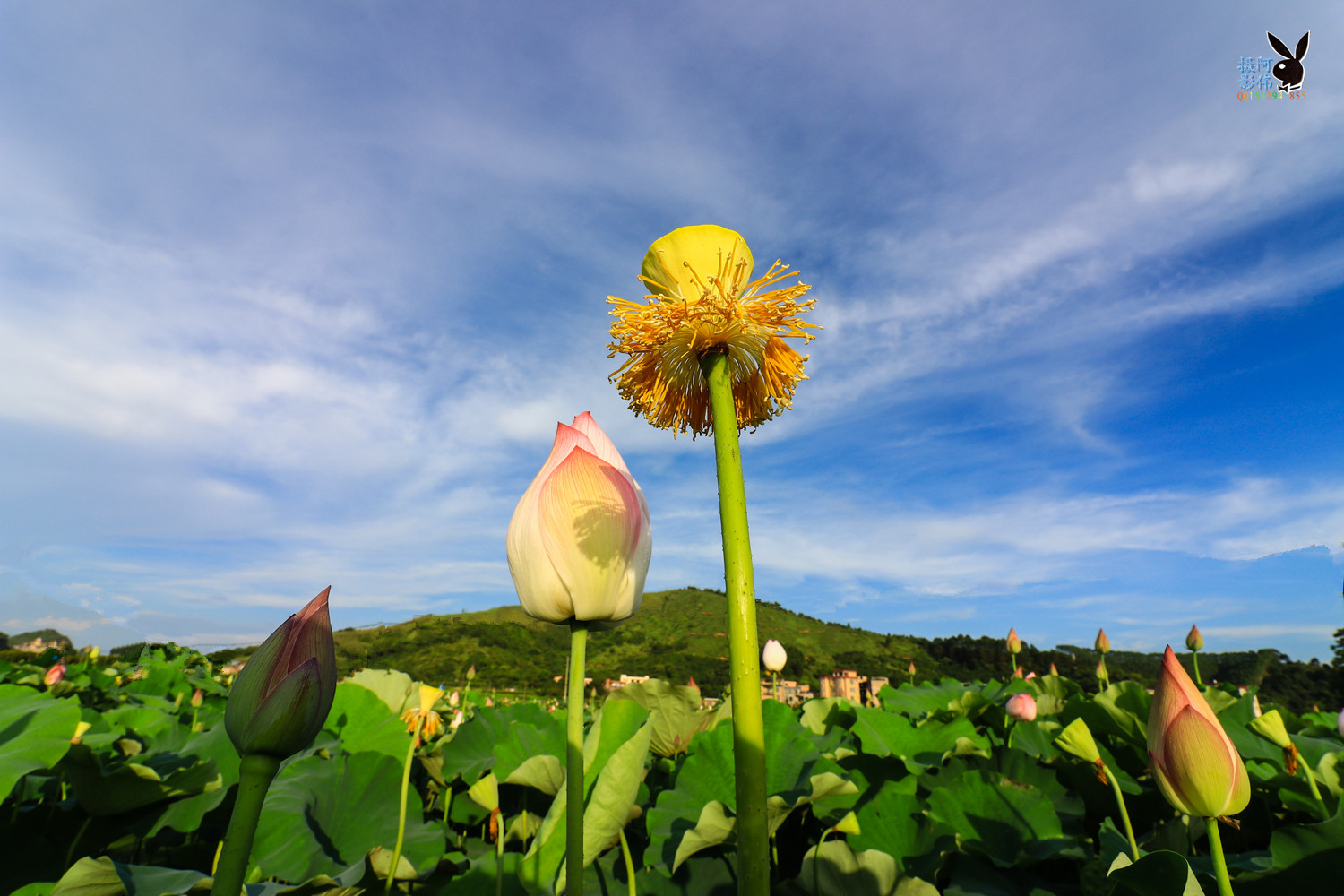 IMG_9886_副本.jpg