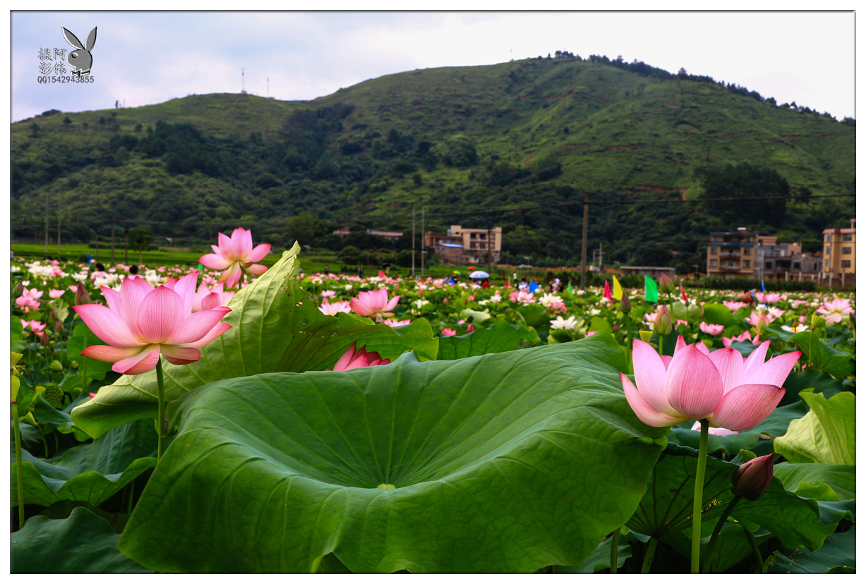 IMG_0102_副本.jpg