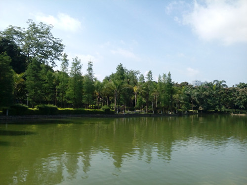 IMG_20170624_094506_副本.jpg