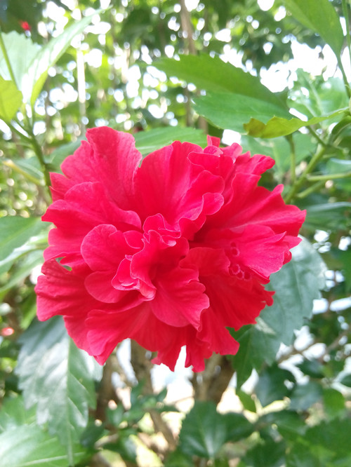 IMG_20170624_094540_副本.jpg