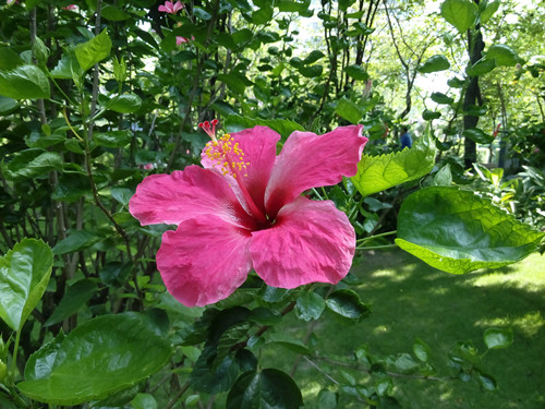 IMG_20170624_094704_副本.jpg