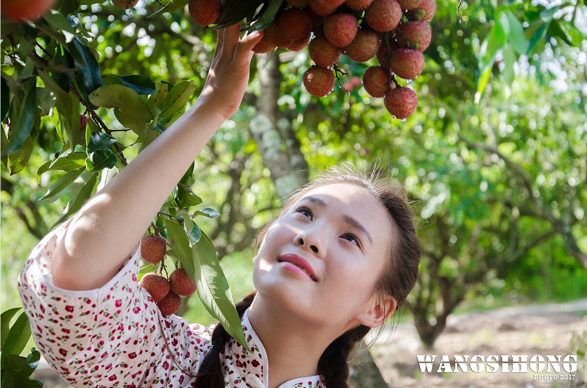 美人美荔.jpg
