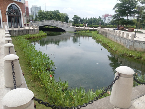 IMG_20170625_115453_副本.jpg