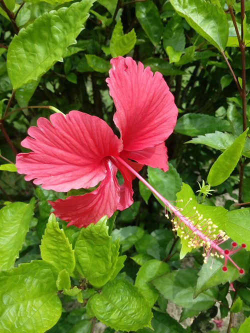 IMG_20170626_104511_副本.jpg