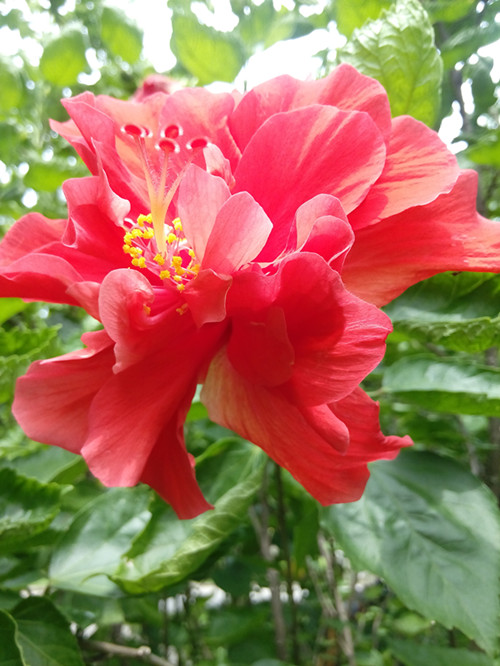 IMG_20170626_104613_副本.jpg