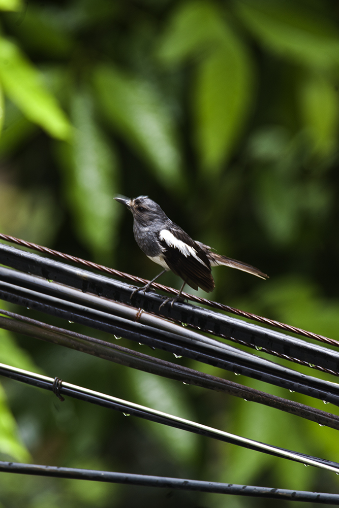 IMG_4058副本.jpg