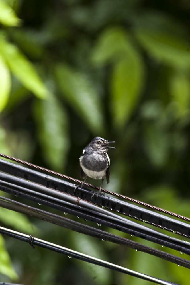 IMG_4063副本.jpg