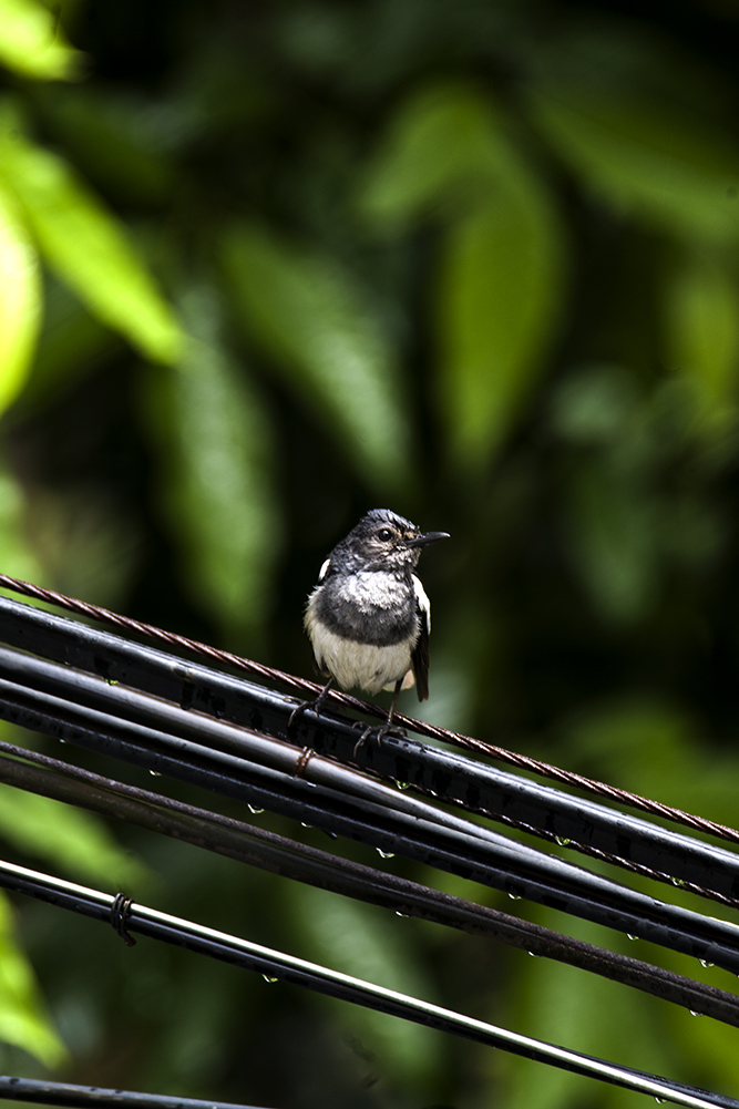 IMG_4064副本.jpg