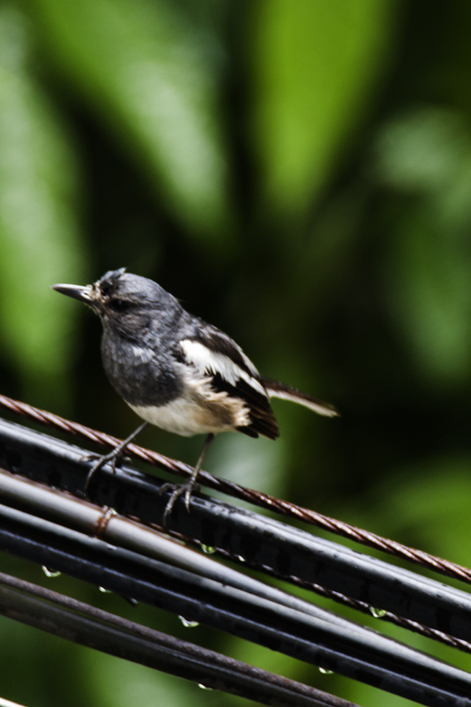IMG_4068副本.jpg