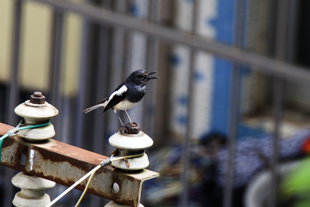 IMG_4076副本.jpg
