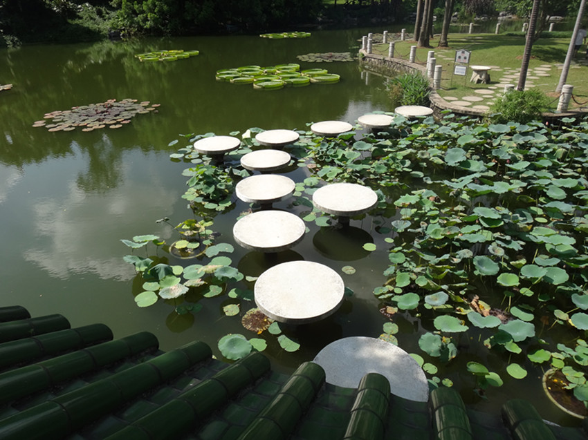 DSC05772_副本.jpg