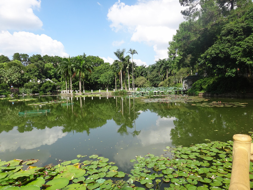 DSC05758_副本.jpg