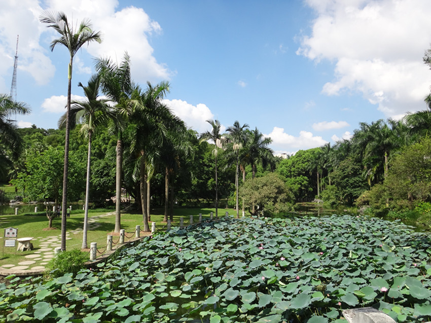 DSC05774_副本.jpg