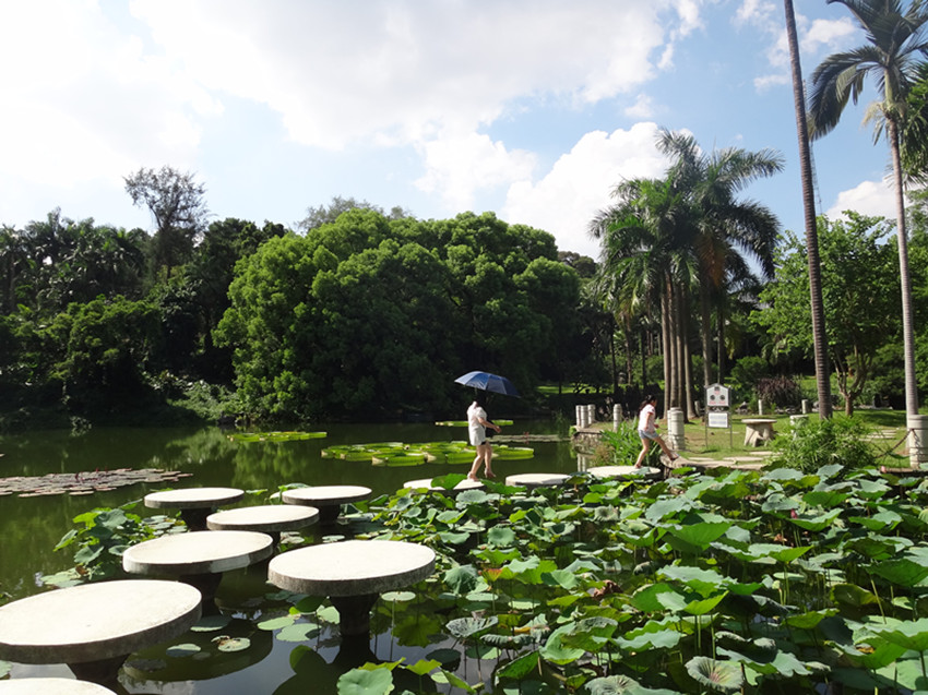 DSC05777_副本.jpg
