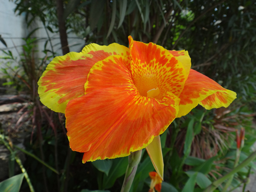 DSC06045_副本.jpg