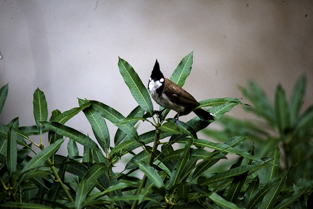 IMG_4606副本.jpg