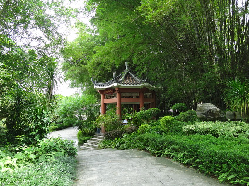 DSC06108_副本.jpg