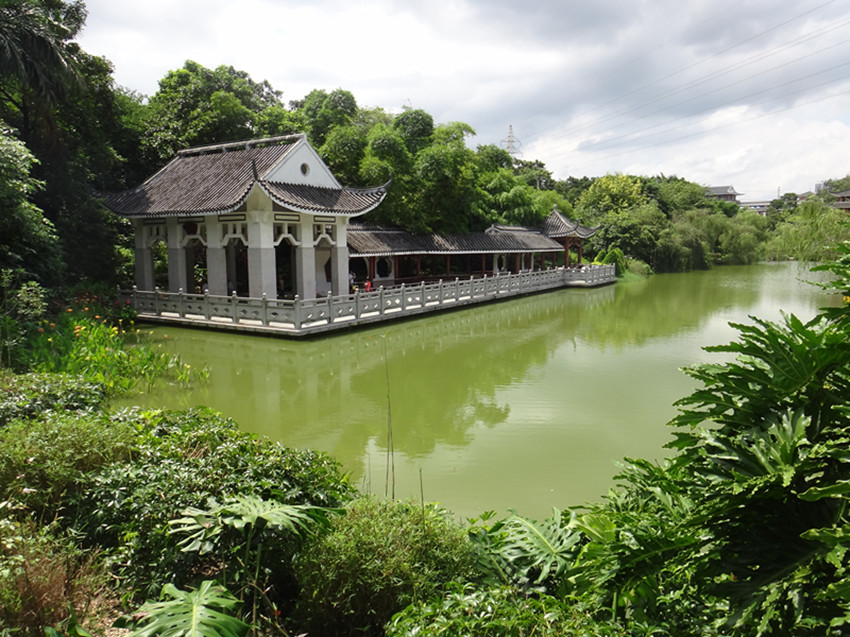 DSC06443_副本.jpg