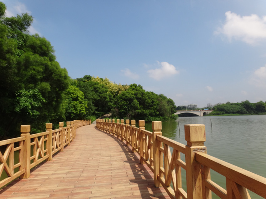 DSC07287_副本.jpg