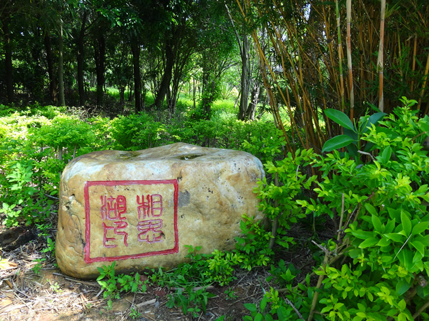 DSC07307_副本.jpg