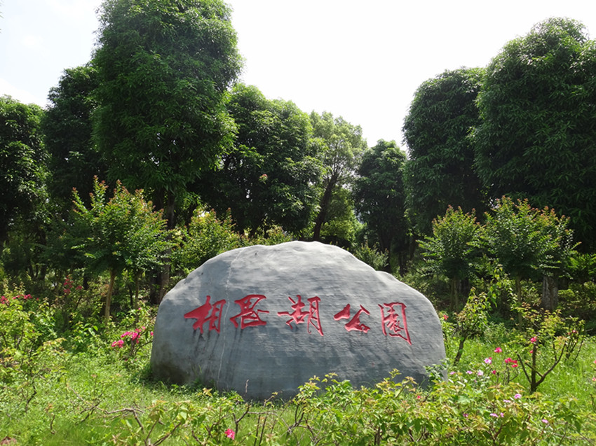 DSC07302_副本.jpg