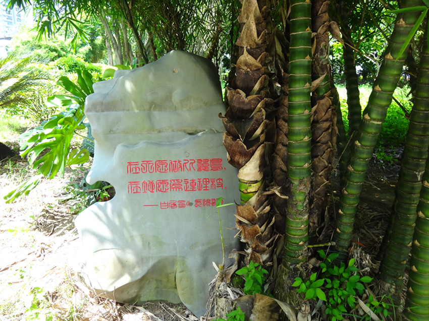 DSC07314_副本.jpg