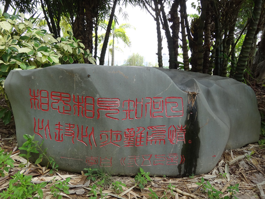 DSC07327_副本.jpg