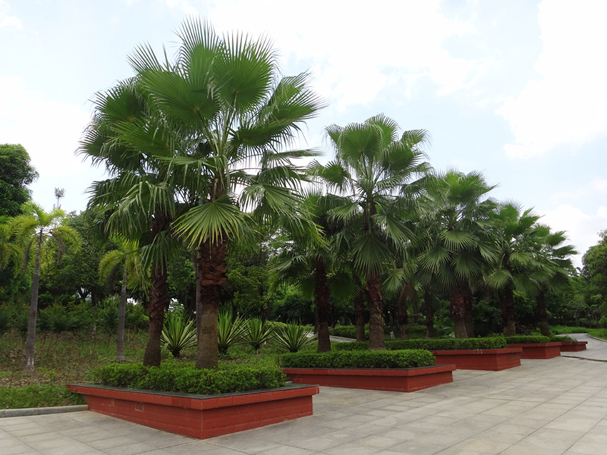 DSC07374_副本.jpg
