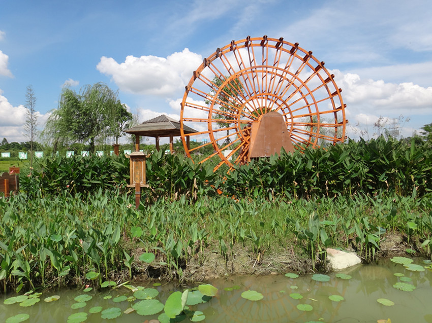 DSC07978_副本.jpg