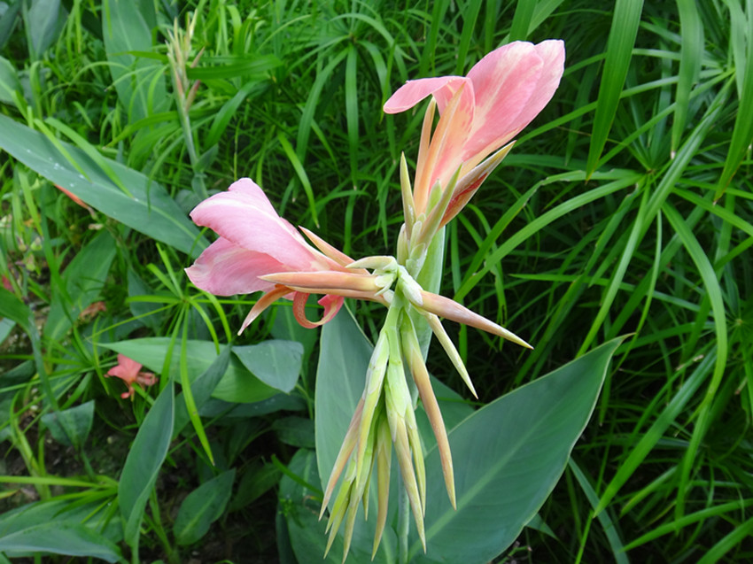 DSC07757_副本.jpg