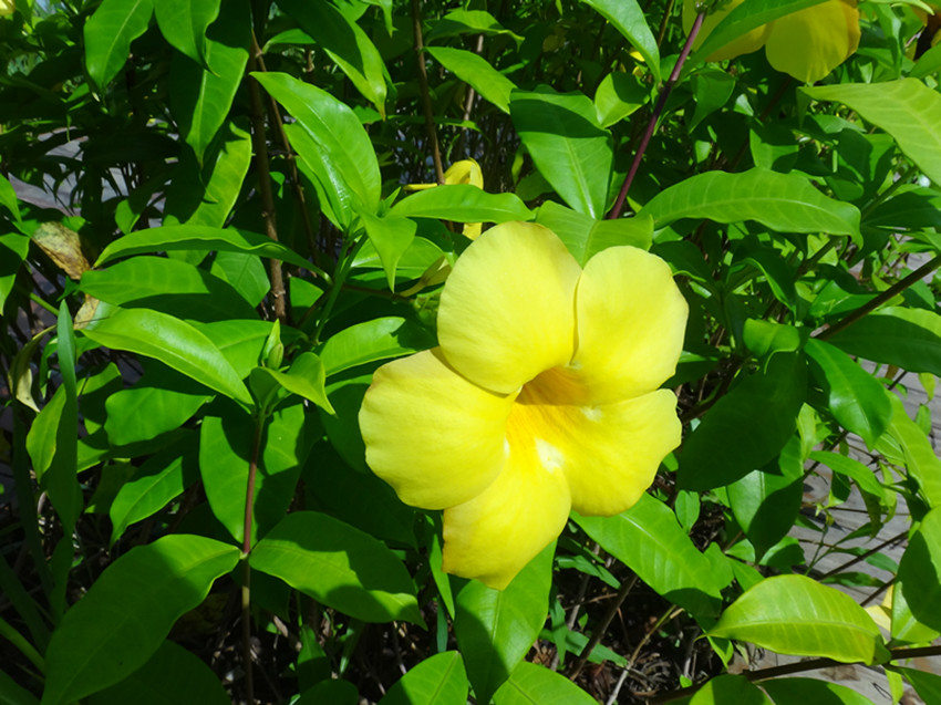 DSC08037_副本.jpg