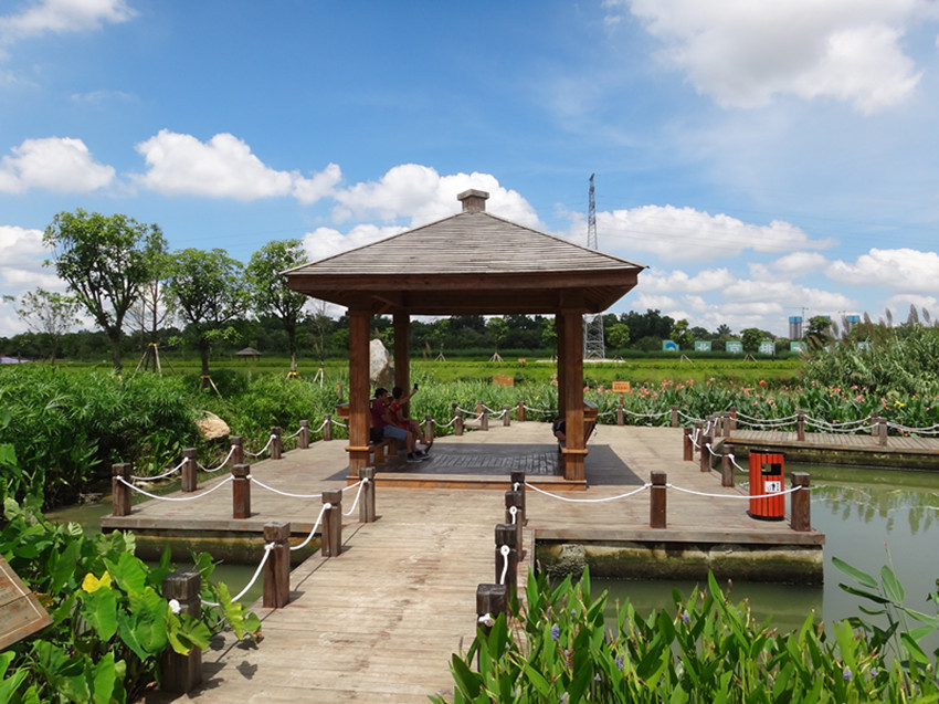 DSC07952_副本.jpg