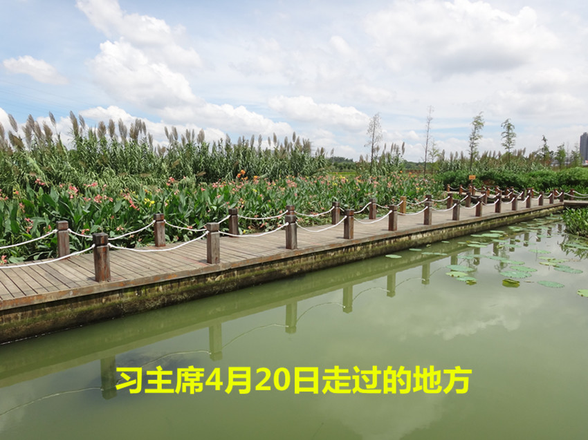DSC07953_副本.jpg