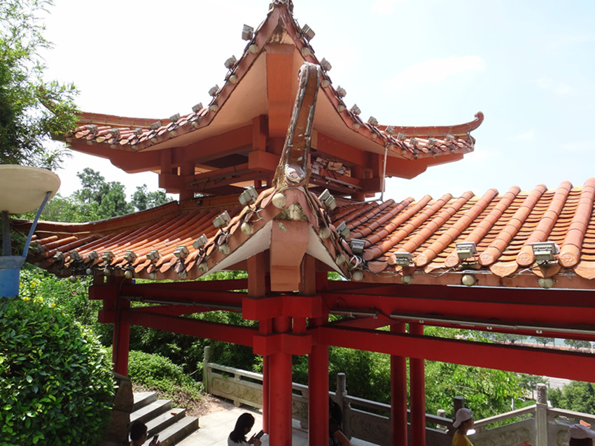 DSC08656_副本.jpg