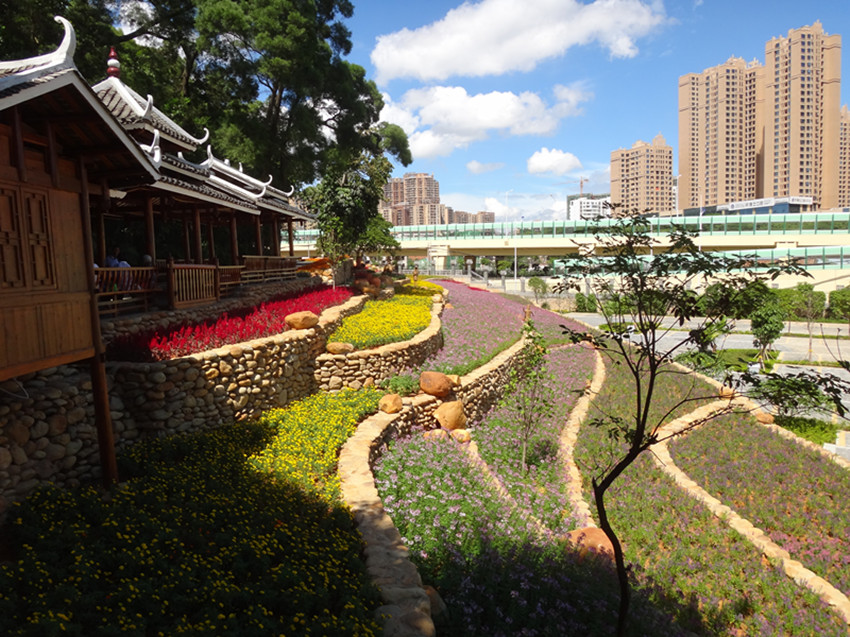 DSC09376_副本.jpg