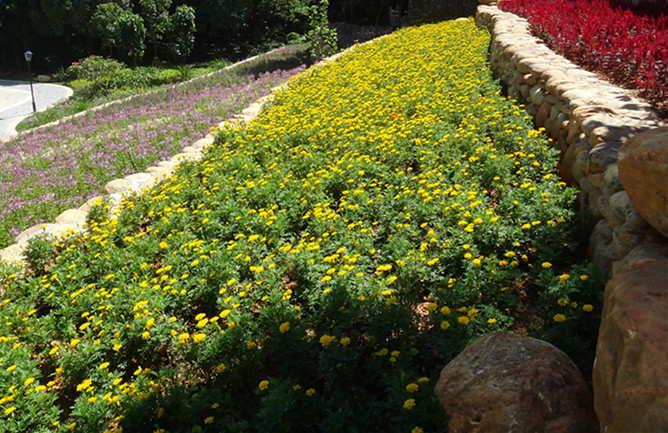 DSC09417_副本.jpg